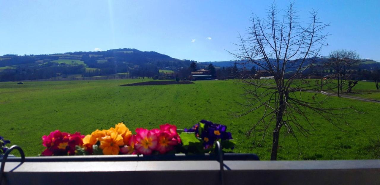 B&B Des Artistes Borzano 外观 照片